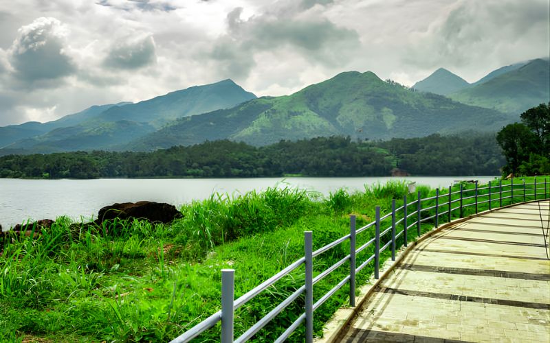 Wayanad Wonders